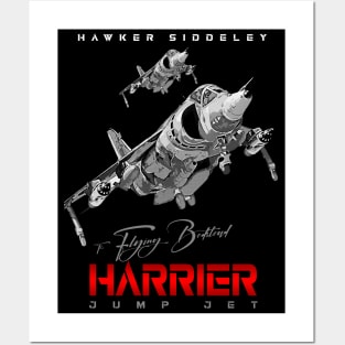Harrier Jump Jet Military Fighter Flugzeug T-Shirt Posters and Art